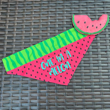 Load image into Gallery viewer, One In a Melon Pet Bandana