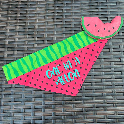 One In a Melon Pet Bandana