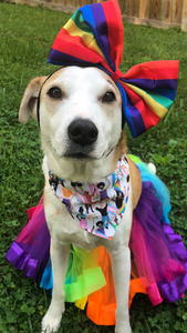 Signs of Love Pet Bandana