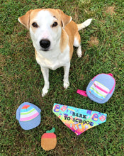 Load image into Gallery viewer, Bark To School Pet Bandana