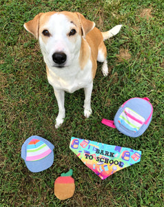 Bark To School Pet Bandana