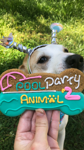 Pool Party Bone Dog Cookie