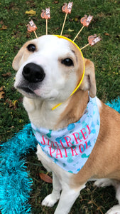 Squirrel Patrol Pet Bandana