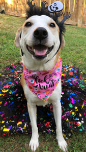 Lick or Treat Bandana