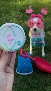 Beach Ball Dog Cookie