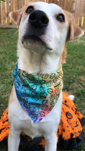 Load image into Gallery viewer, Pup-kin Spice and Everything Nice Bandana