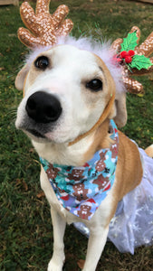 Gingerbreadmendeer Pet Bandana