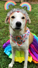 Load image into Gallery viewer, Rainbows 4 Days Pet Bandana