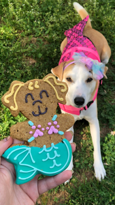 Merpup Dog Cookie