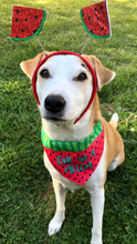 Load image into Gallery viewer, One In a Melon Pet Bandana