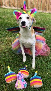 Pawrty Unicorn Dog Cookie