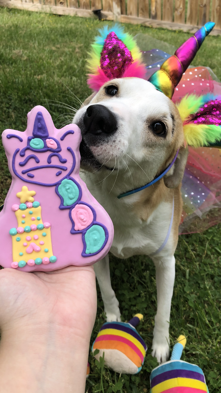 Pawrty Unicorn Dog Cookie