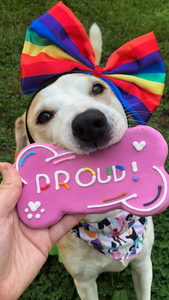 Proud Pride Dog Cookie