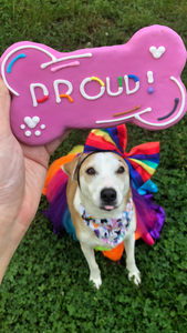 Proud Pride Dog Cookie