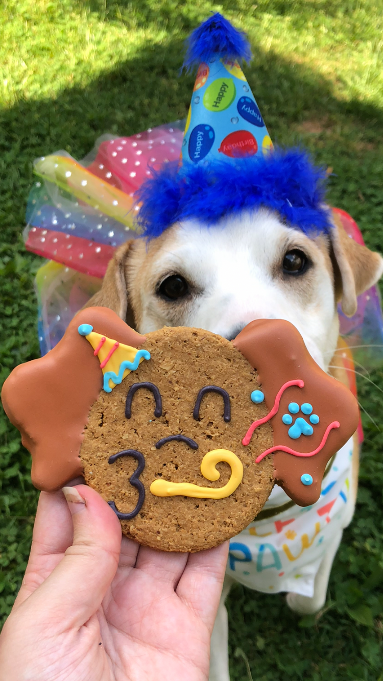 Barkday Pawrty Pup Dog Cookie