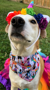 Signs of Love Pet Bandana