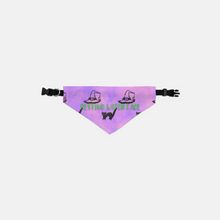 Load image into Gallery viewer, Resting Witch Face Pet Bandana