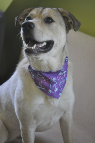 Spooktacular Pet Bandana