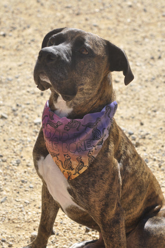 Bad To The Bone Halloween Pet Bandana