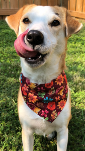 Autumn Flowers Pet Bandana