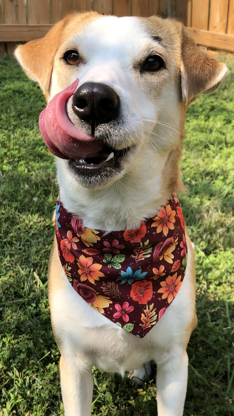 Autumn Flowers Pet Bandana