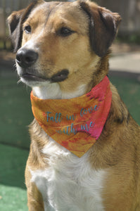 Fall In Love With Me Autumn Pet Bandana